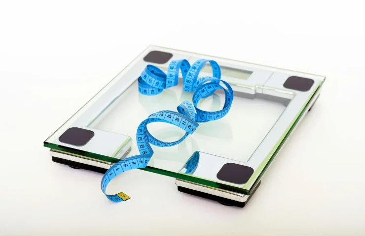 Low Carb, Low Fat, Intermittent Fasting, Calorie Deficit